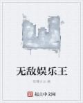 无敌娱乐系统