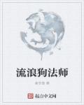 流浪法师百科