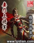 妻乃上将军谢安