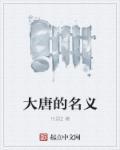 大唐名字由来