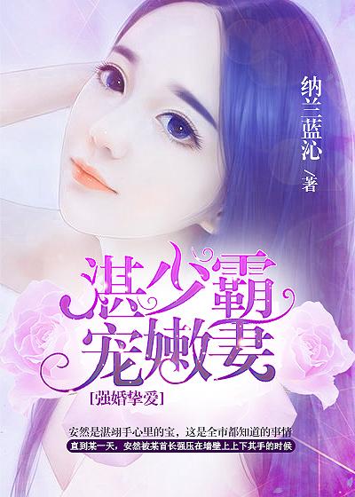 湛少宠妻花样多