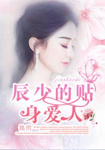 辰少的隐婚新妻