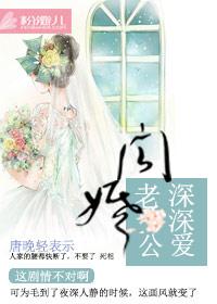 闪婚厚爱天价老公深深爱