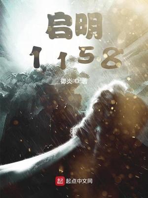 启明1158epub