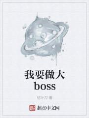 我想打boss