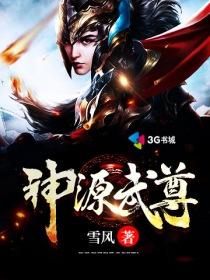 神源武尊后面写的什么鬼?