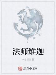 小法师维迦大招