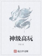 神级高玩到底写的什么