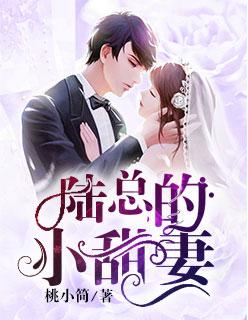 陆少的闪婚新妻