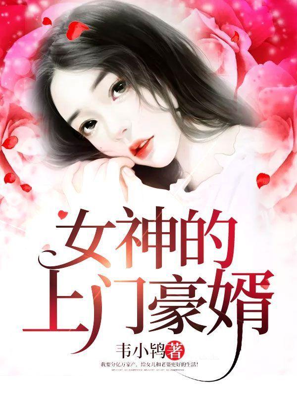 女神的上门豪婿全文在线阅读