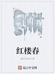 红楼春趣生字