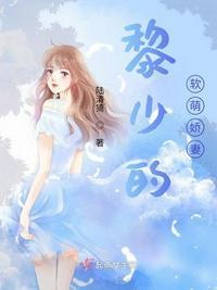 闪婚蜜宠黎少