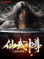 仙武神尊叶辰笔趣岛