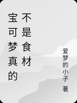 宝可梦整合包