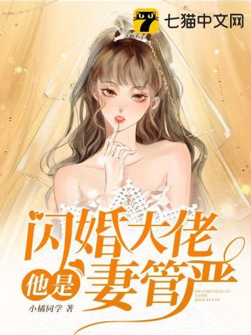 闪婚大佬以后