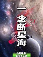 一念逍遥星海瓶代码