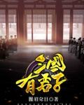 三国有君子全本笔趣阁