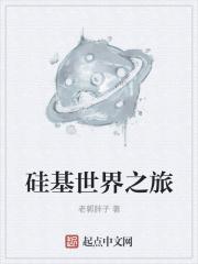 硅基是什么意思