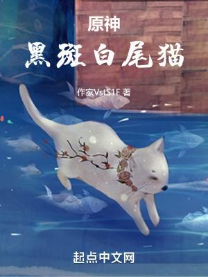 元神黑色的猫在哪里