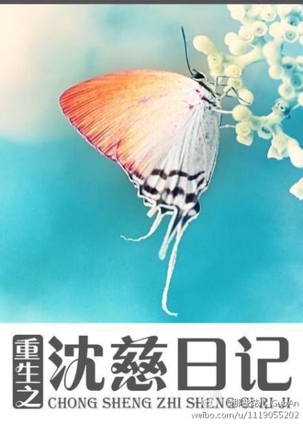 重生之沈慈日记慕夏衣免费阅读