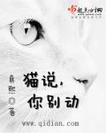 猫咪猫咪你别吵