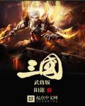 武将版三国防盗版