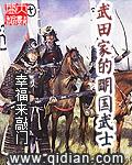 武田家的明国武士免费阅读