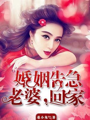 婚姻告急：老婆，回家